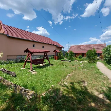 Casa De Vacanta In Tara Fagarasului Holiday home