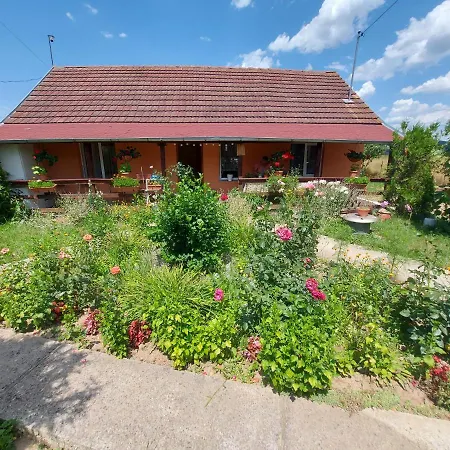 Holiday home Casa De Vacanta In Tara Fagarasului *