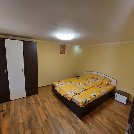 Casa De Vacanta In Tara Fagarasului Holiday home