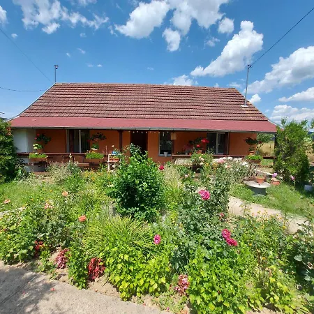 Casa De Vacanta In Tara Fagarasului *