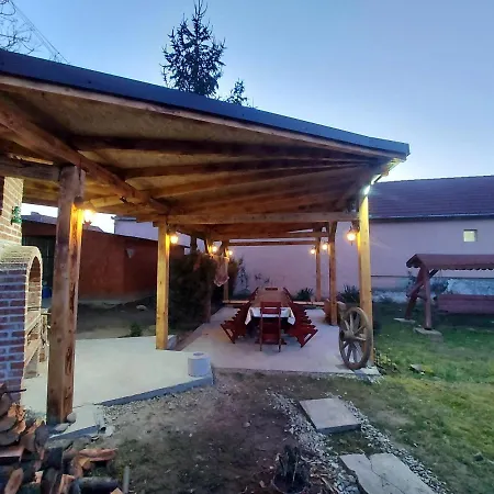 Casa De Vacanta In Tara Fagarasului