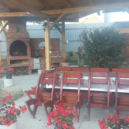 Holiday home Casa De Vacanta In Tara Fagarasului