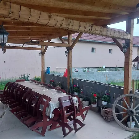 Holiday home Casa De Vacanta In Tara Fagarasului Beclean (Brasov)